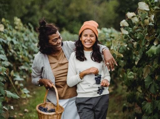 woman and young woman picking grapes